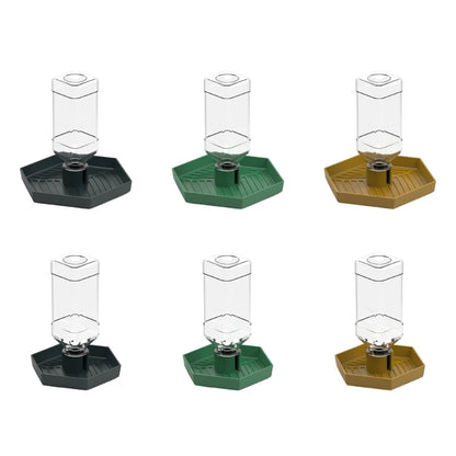 Reptiles Water Feeder Bowl
