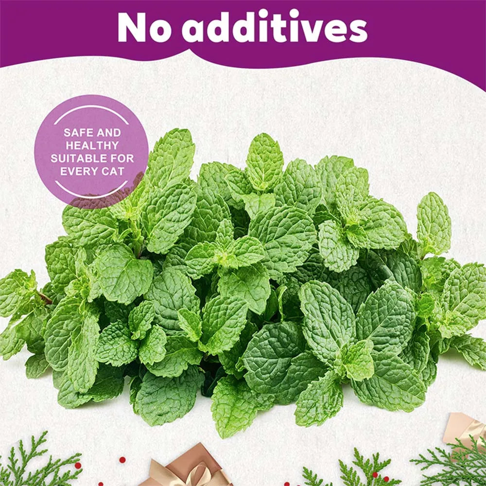 15-Pack Natural Catnip Tea Bags for Cats