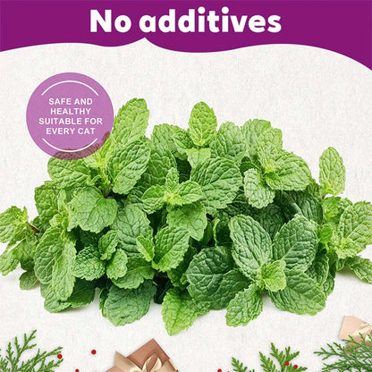 15-Pack Natural Catnip Tea Bags for Cats