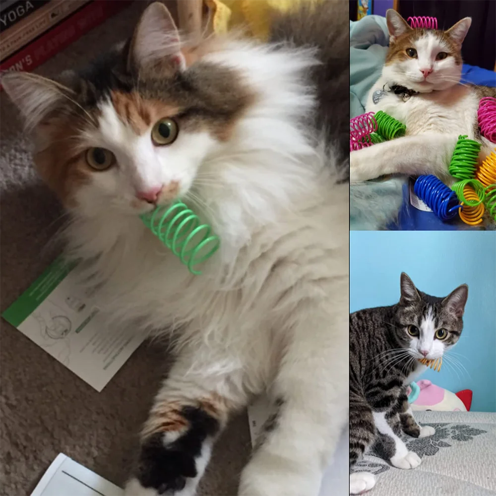 Colorful Cat Spring Spiral Toy Set