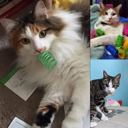 Colorful Cat Spring Spiral Toy Set
