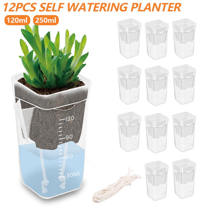 12-Pack Self Watering Planter Pots with Cotton Wicks