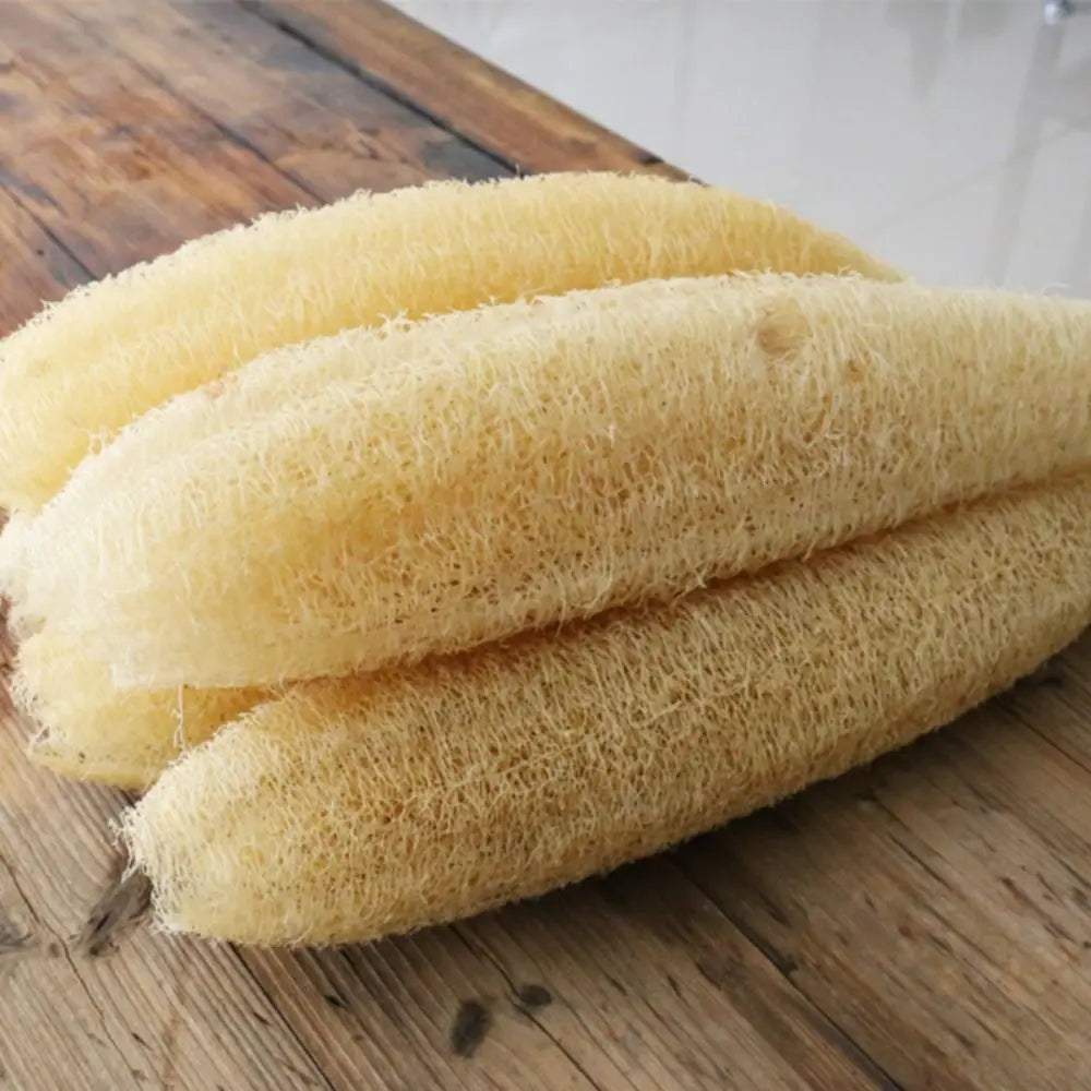 Natural Loofah Luffa Cleaning Sponge