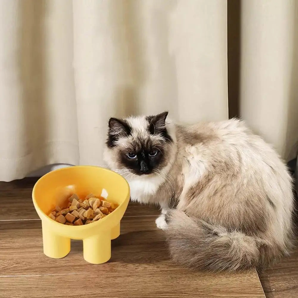 Elevated Tilted Pet Feeding Bowl