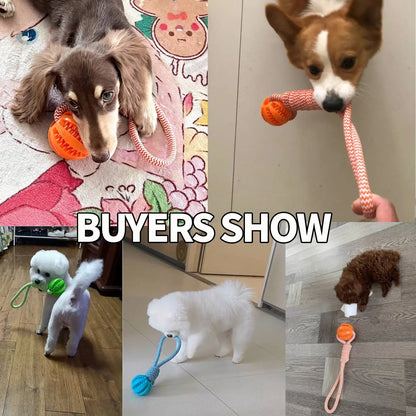 Rope Treat Ball Dog Toy