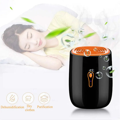 Portable Air Dehumidifier