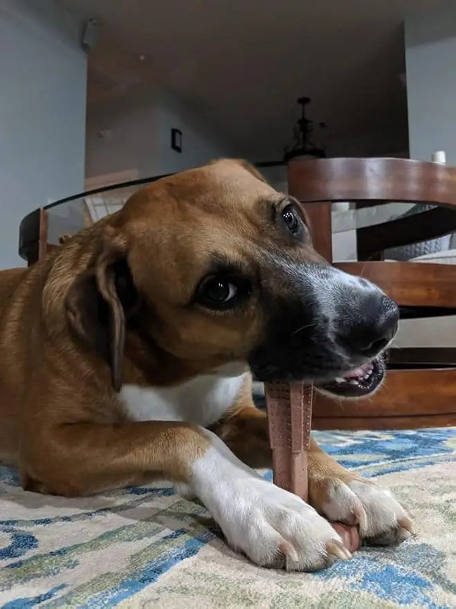 Durable Dog Dental Chew Toy