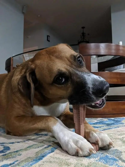 Durable Dog Dental Chew Toy