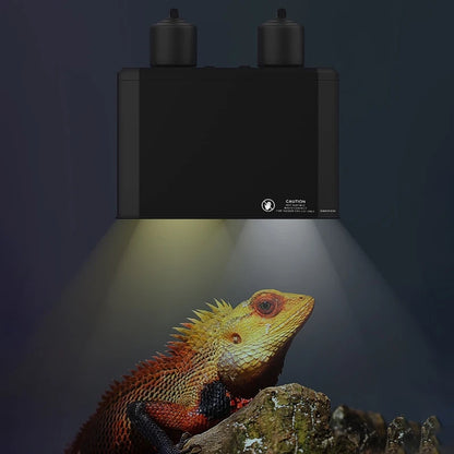 Dual Reptile Heat & UV Lamp Fixture