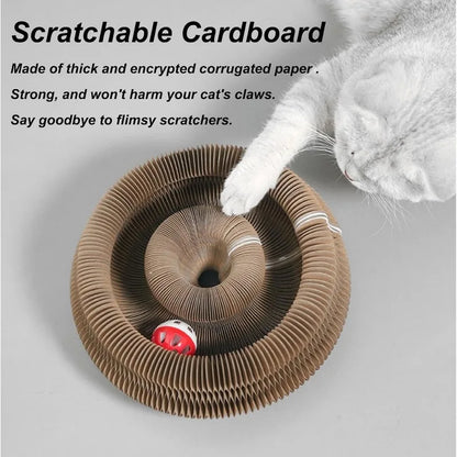 Creative Foldable Cat Scratching Board Toy