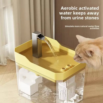 Transparent Cat Water Fountain