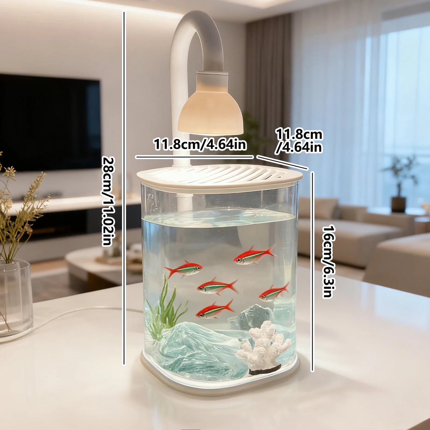 Mini Starter Fish Tank Kit with Light
