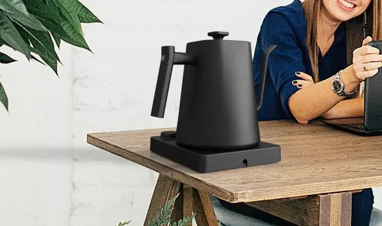 Stainless Steel Variable Temperature Gooseneck Coffee & Tea Kettle