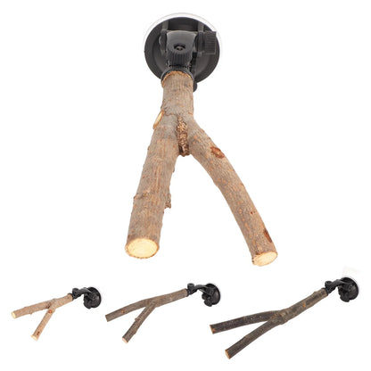 Wooden Bird Branch Perch with Suction Cup