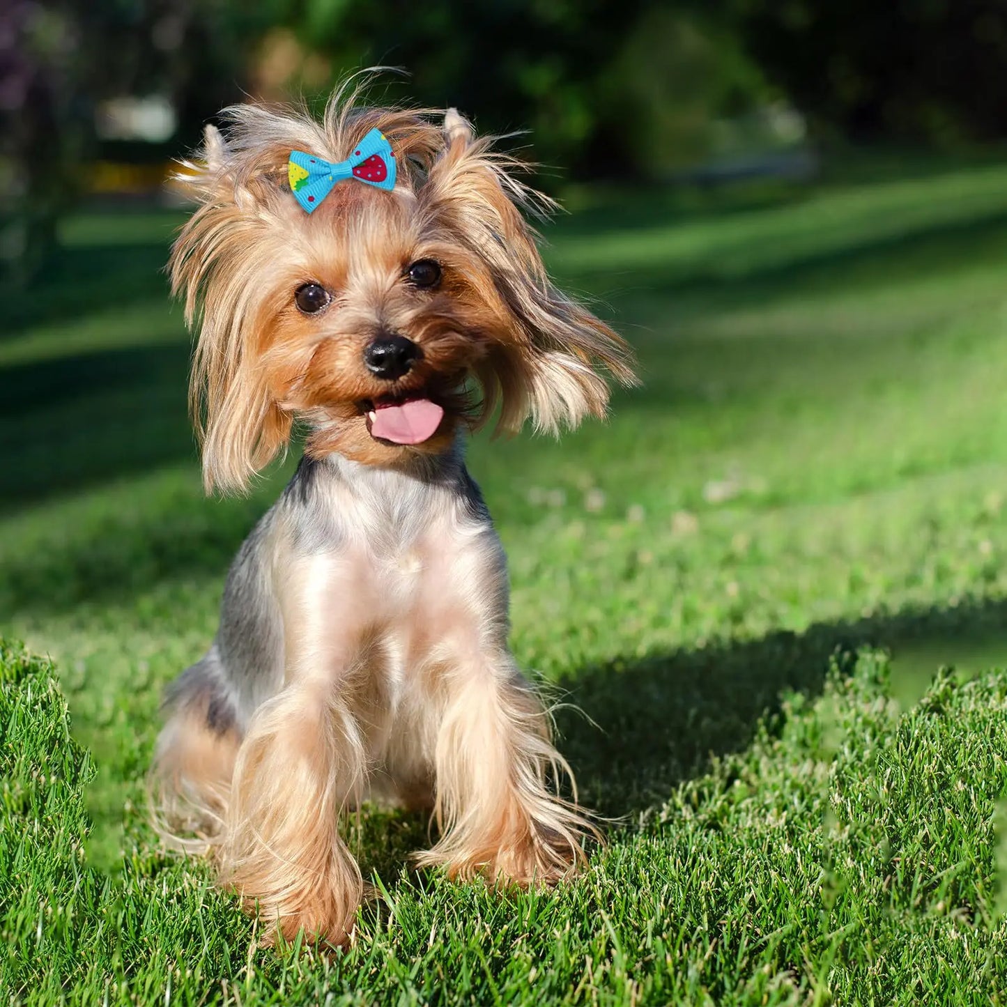 10Pcs Cute Pet Hair Bow Accessories