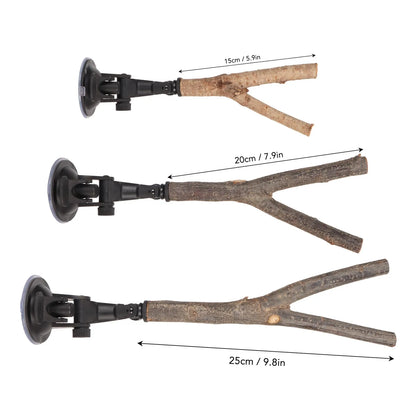 Wooden Bird Branch Perch with Suction Cup