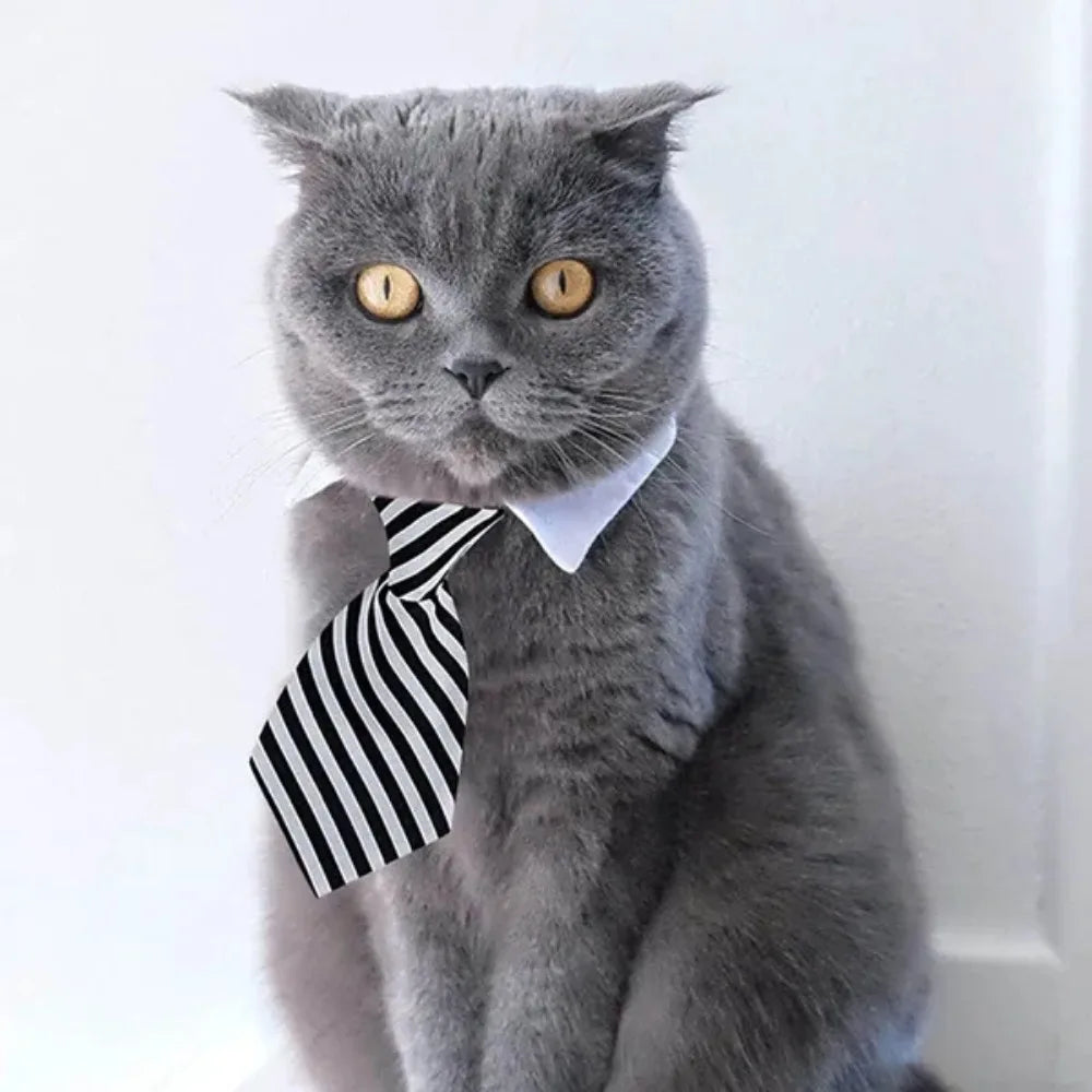Adjustable Pet Necktie Collar