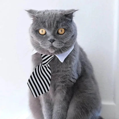 Adjustable Pet Necktie Collar