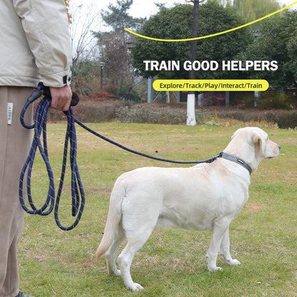 Long Nylon Dog Training Leash