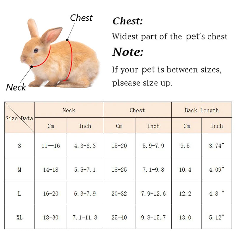Breathable Small Pet Harness & Leash Set