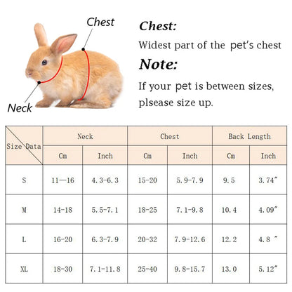 Breathable Small Pet Harness & Leash Set