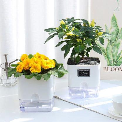 Self-Watering Plant Pot