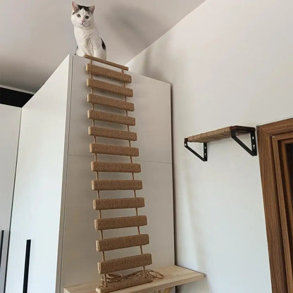 Wooden Wall-Mounted Cat Climbing Shelves & Play Set