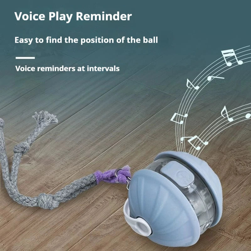 Rechargeable Automatic Rolling Ball Cat Toy