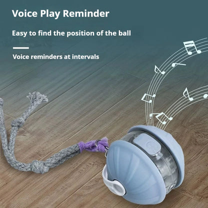 Rechargeable Automatic Rolling Ball Cat Toy