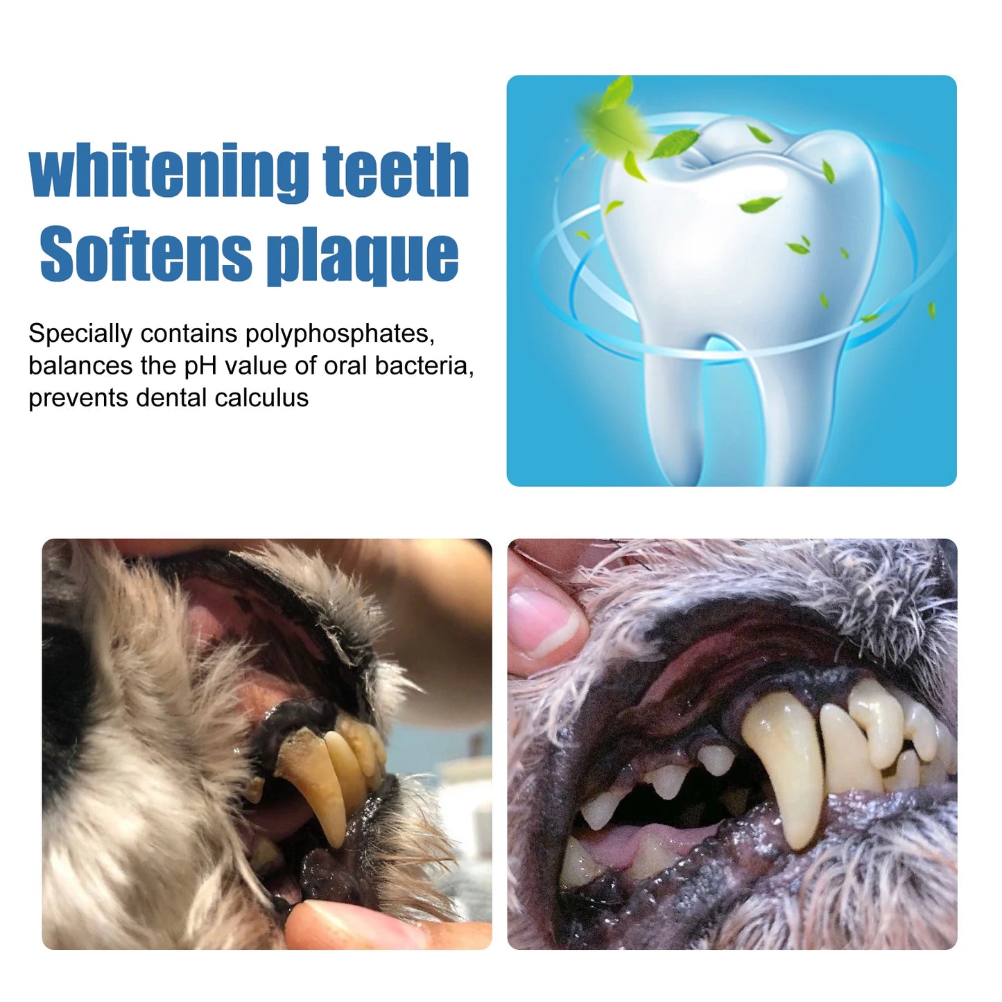 Pet Dental Tartar Remover Foam for Dogs & Cats
