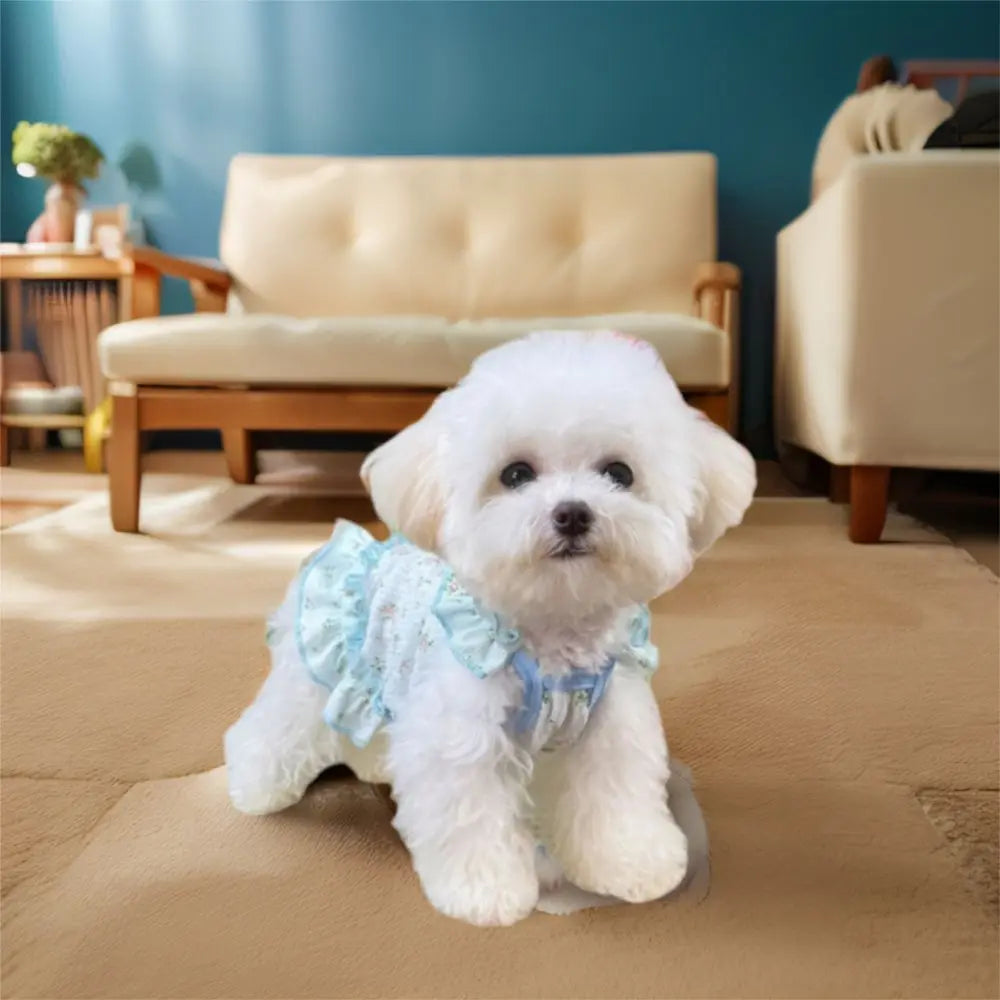 Cute Breathable Dog Summer Dress
