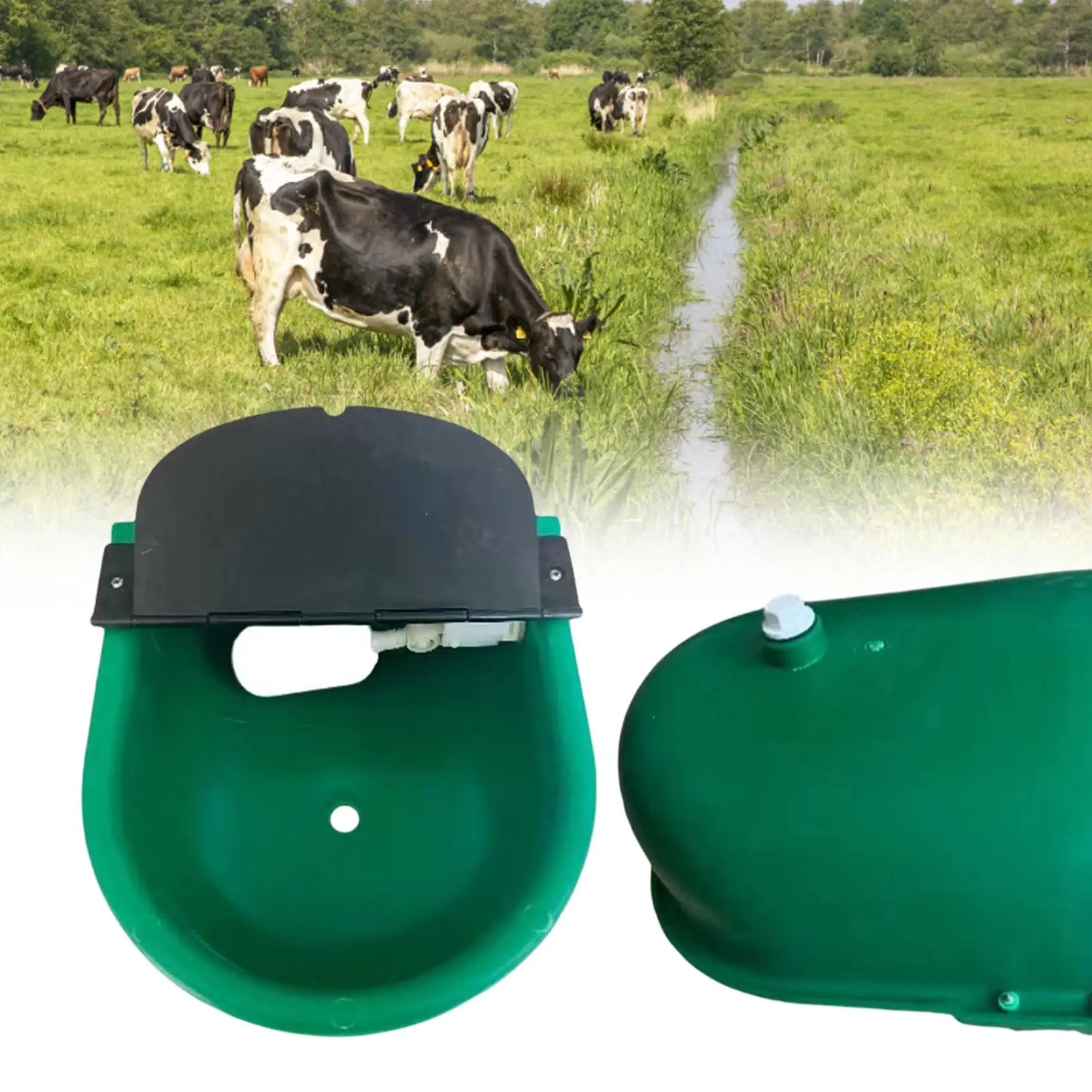 Automatic Livestock Water Bowl