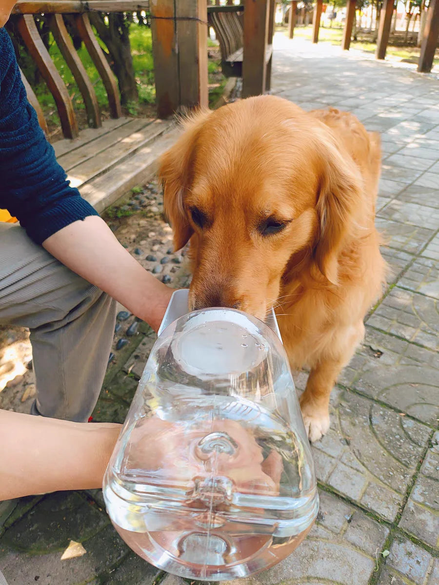 2-in-1 Portable Dog Water Bottle & Food Container