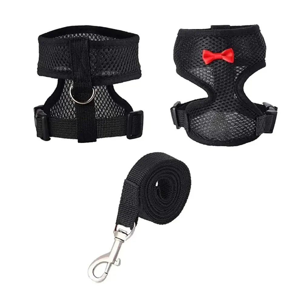Adjustable Chicken Harness & Leash