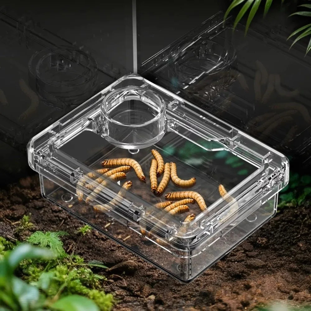 Anti-Escape Reptile Feeding Bowl