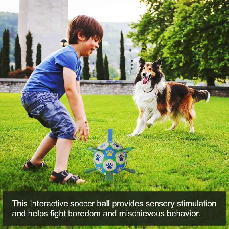 Bite Resistant Dog Soccer Ball Tug Toy