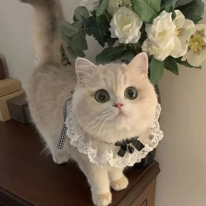 Silk Wedding Style Cat & Dog Collar with Bow Tie