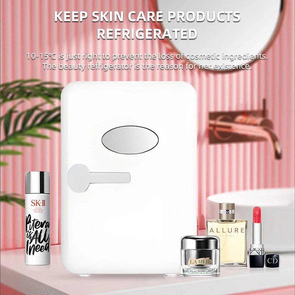 Portable Mini Refrigerator