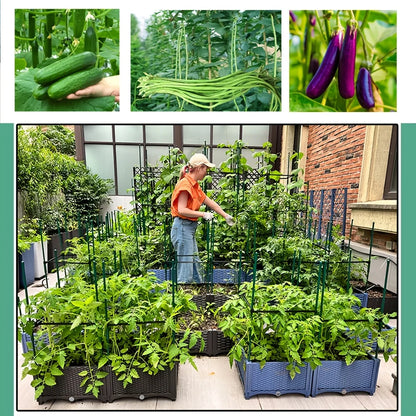 Raised Garden Planter Box with Climbing Trellis