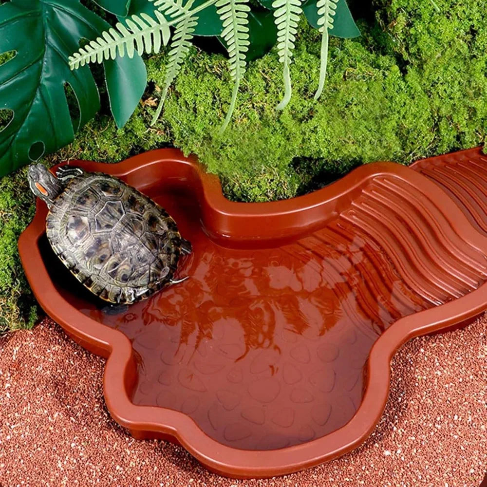Reptile Bathing Pool with Ramp