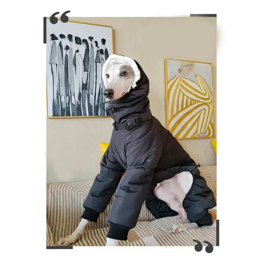 Winter Quilted Dog Jacket