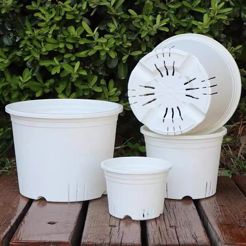 Transparent Nursery Plant Pot