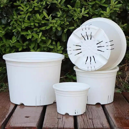 Transparent Nursery Plant Pot