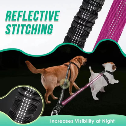 Dual Dog Leash Attachment with Bungee Strap