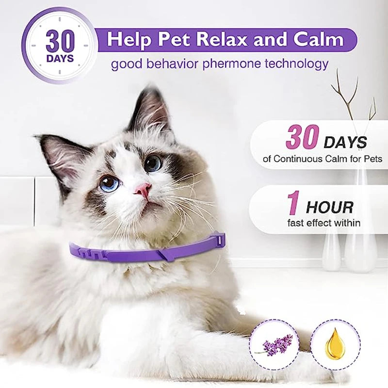 Calming Pheromone Collar for Dogs & Cats