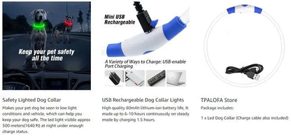USB Rechargeable LED Dog Collar