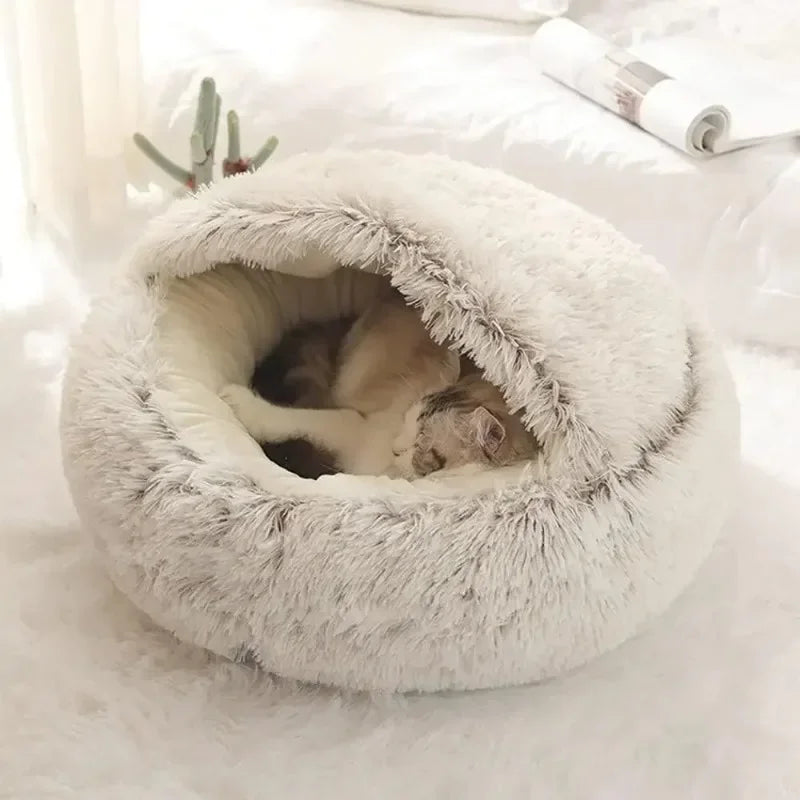 2-in-1 Soft Cushion Bed for Cats & Small Dogs