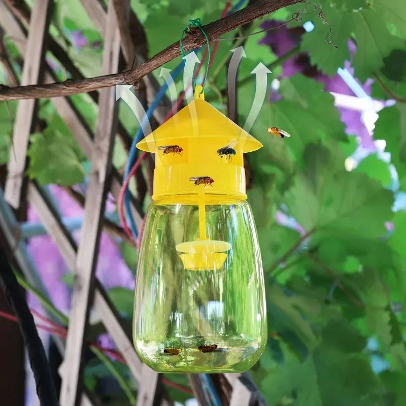 Fruit Fly Trap & Orchard Pest Catcher
