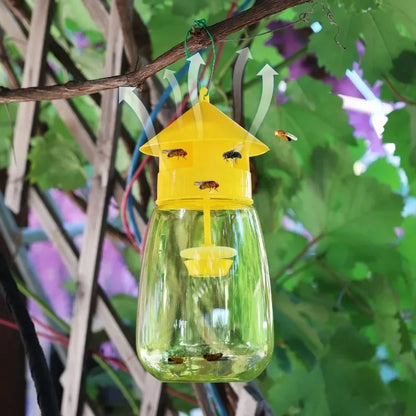 Fruit Fly Trap & Orchard Pest Catcher