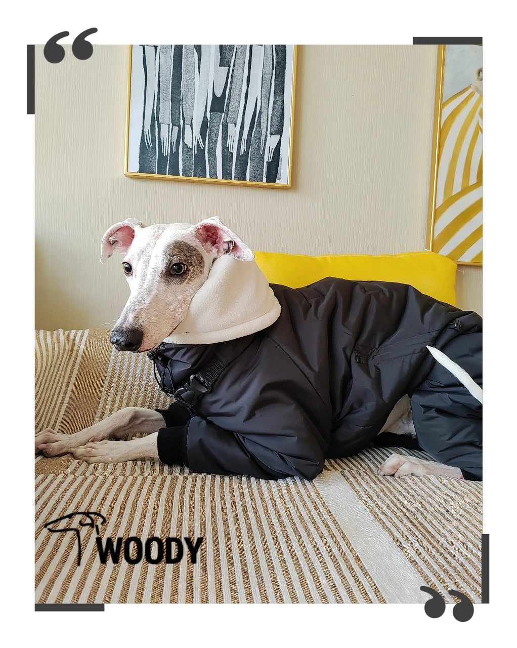 Winter Quilted Dog Jacket